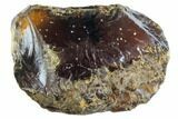 Large, Rough Indonesian Blue Amber (1 1/2 to 2" Size) - Photo 2